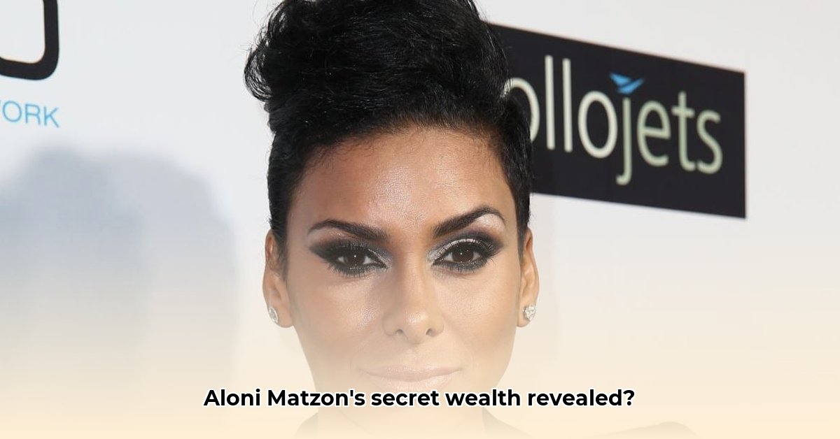 aloni-matzon-net-worth